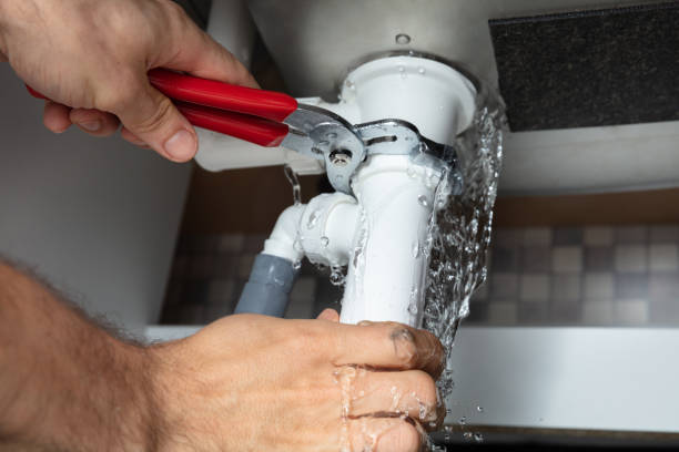 Best Mold removal after water damage  in Sandy Springs, SC