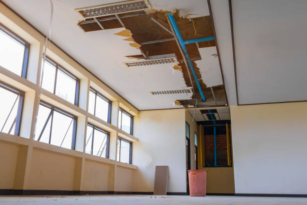 Best Fire Damage Restoration  in Sandy Springs, SC
