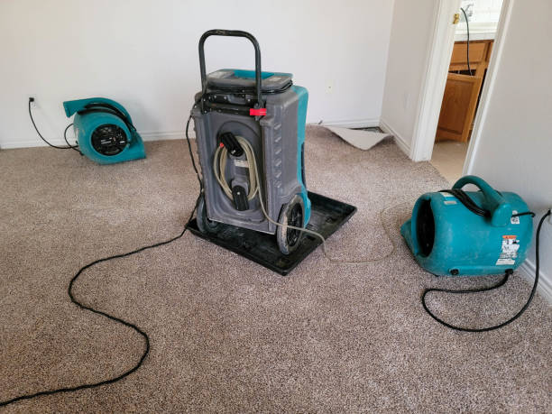 Best Flood damage cleanup  in Sandy Springs, SC