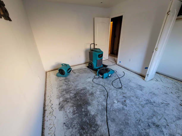 Best Carpet water damage restoration  in Sandy Springs, SC