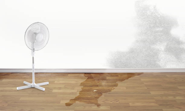Reliable SC Water damage restoration Solutions