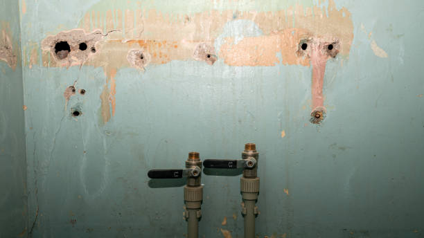 Best Water damage restoration near me  in Sandy Springs, SC