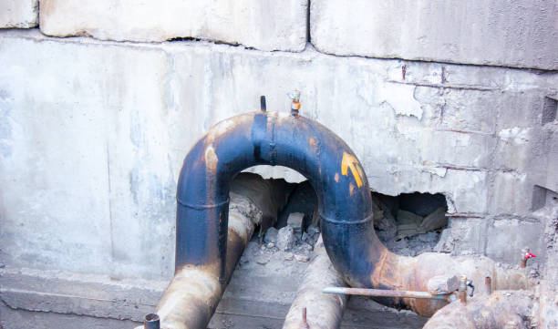 Best Professional water damage repair  in Sandy Springs, SC