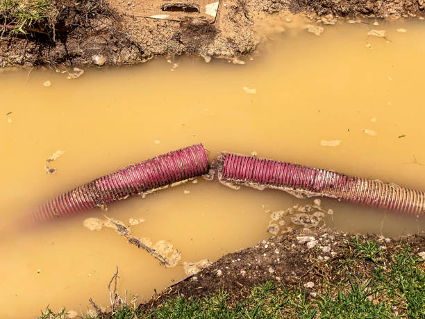Best 24/7 water damage repair  in Sandy Springs, SC